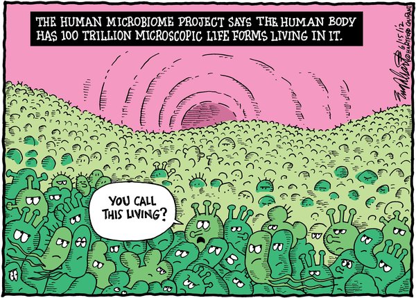 microbiome-cartoon – Jen Owen, .